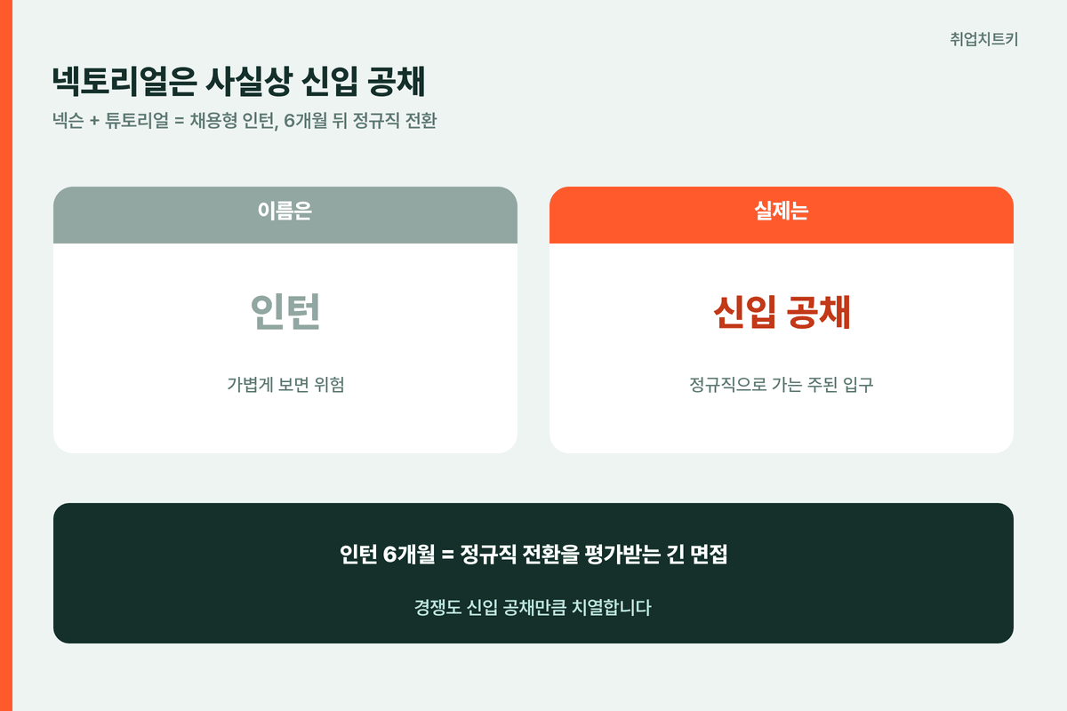넥토리얼은 사실상 신입 공채 — 6개월 인턴 후 정규직 전환