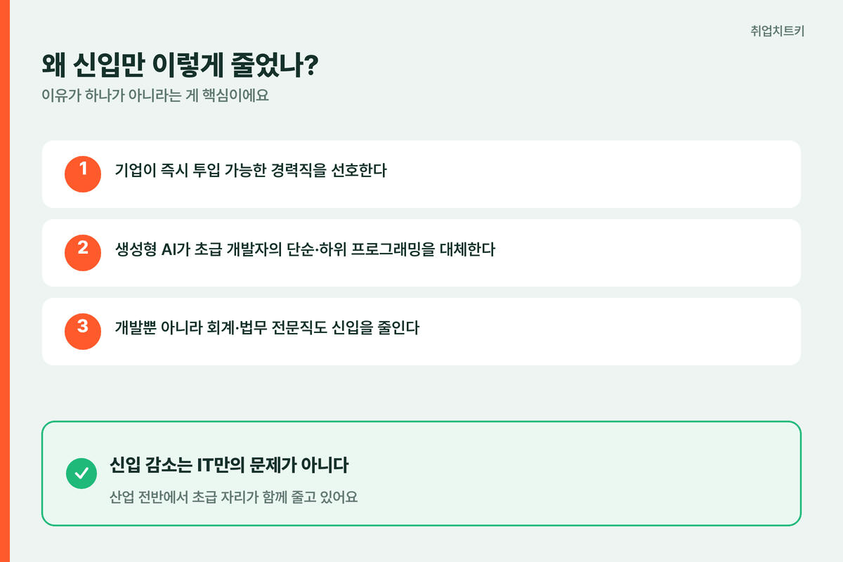 IT 신입 채용 줄어든 이유 경력직 선호 AI 대체