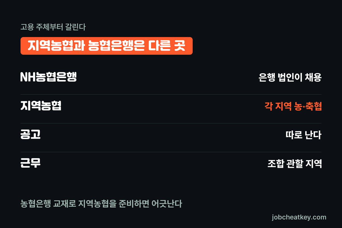 지역농협과 농협은행 채용 구분