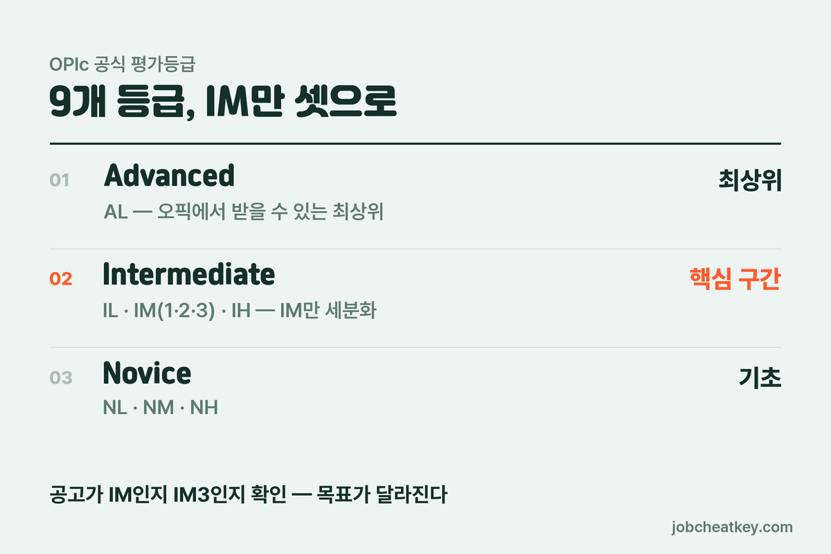 오픽 등급 체계