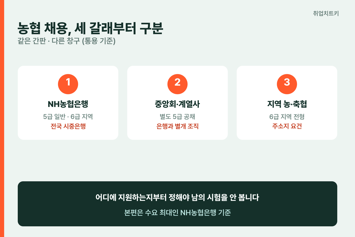 농협 채용 체계 구분