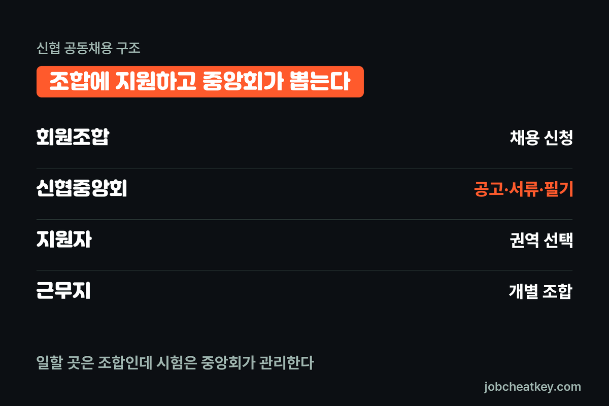 신협 공동채용 구조