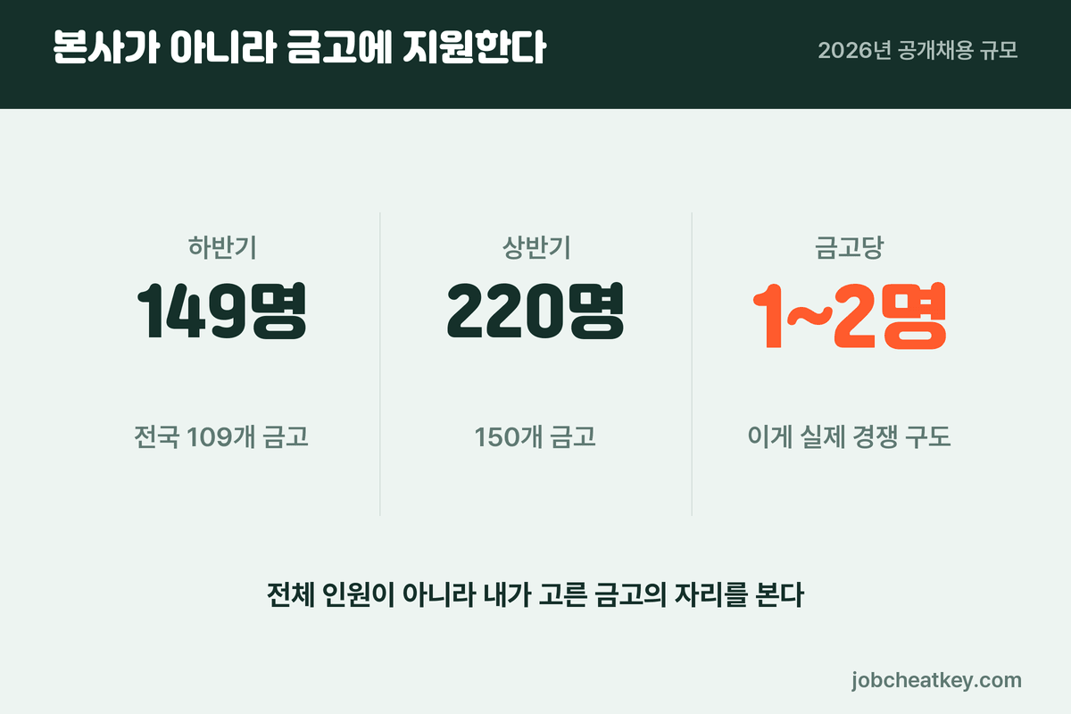 새마을금고 금고별 채용 구조