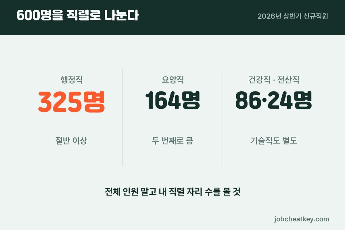 건강보험공단 직렬별 인원