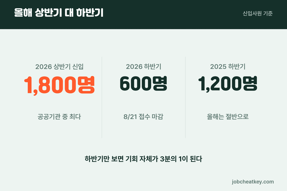 코레일 채용 규모 비교