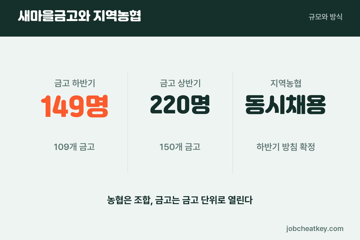 지역농협 전국동시채용