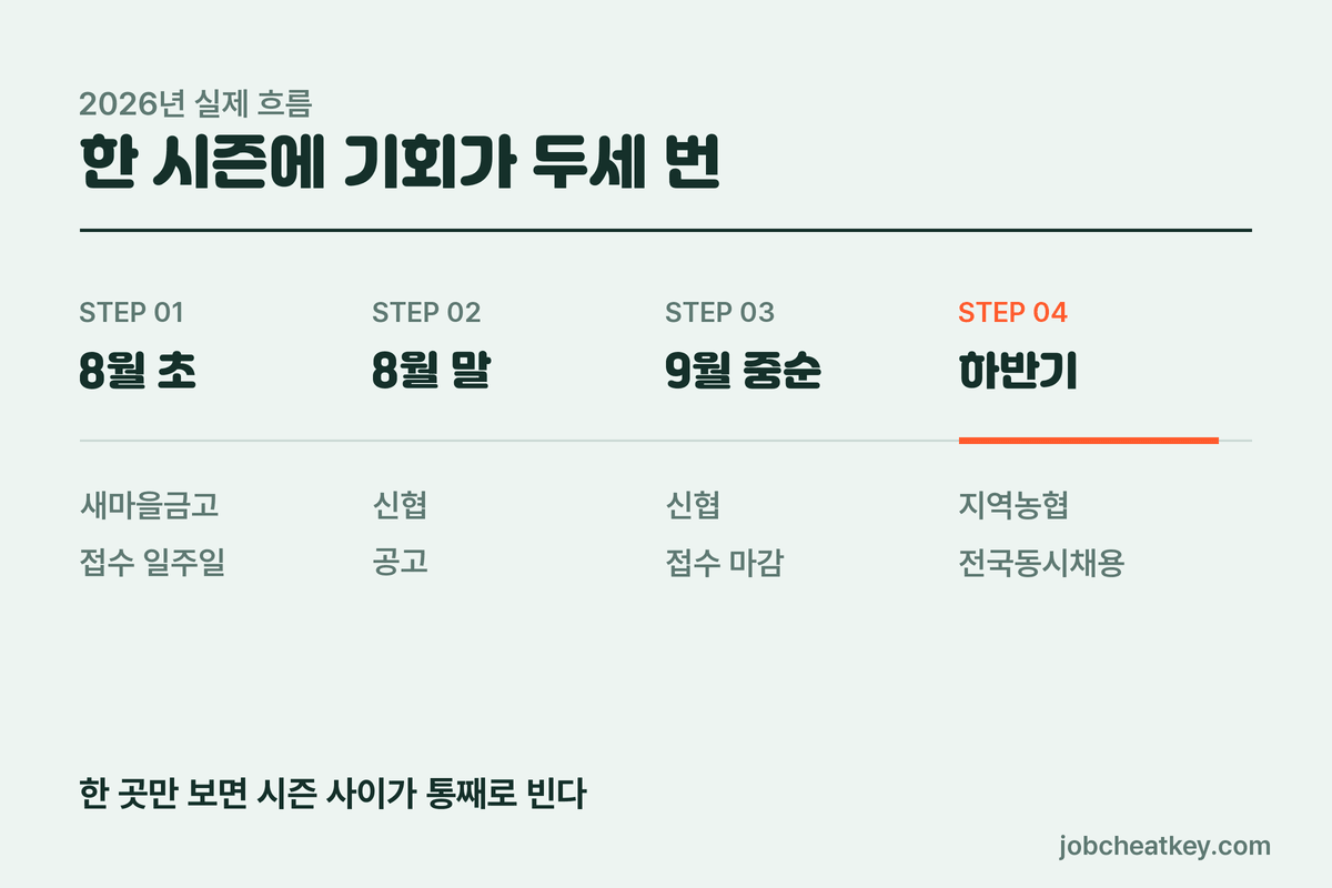 상호금융 3사 채용 일정 흐름