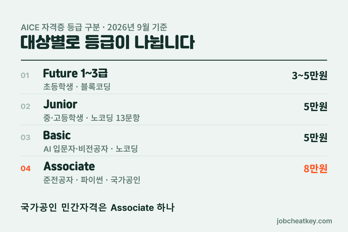 AICE 자격증 대상별 등급 구분