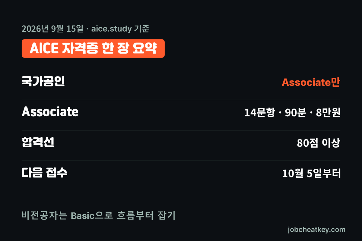 AICE 자격증 핵심 요약
