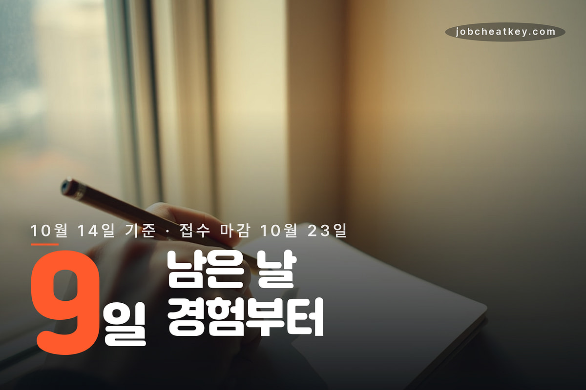 마감까지 9일, 경험부터 정리