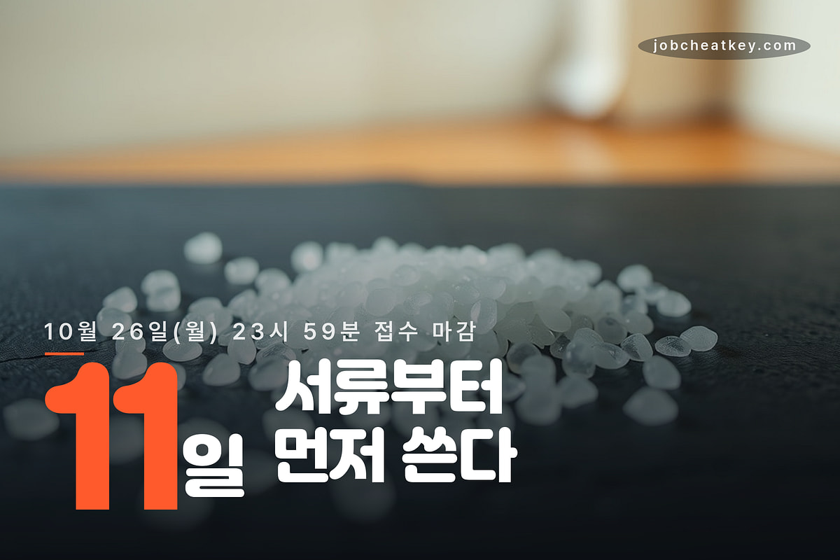 마감까지 11일 서류부터 먼저