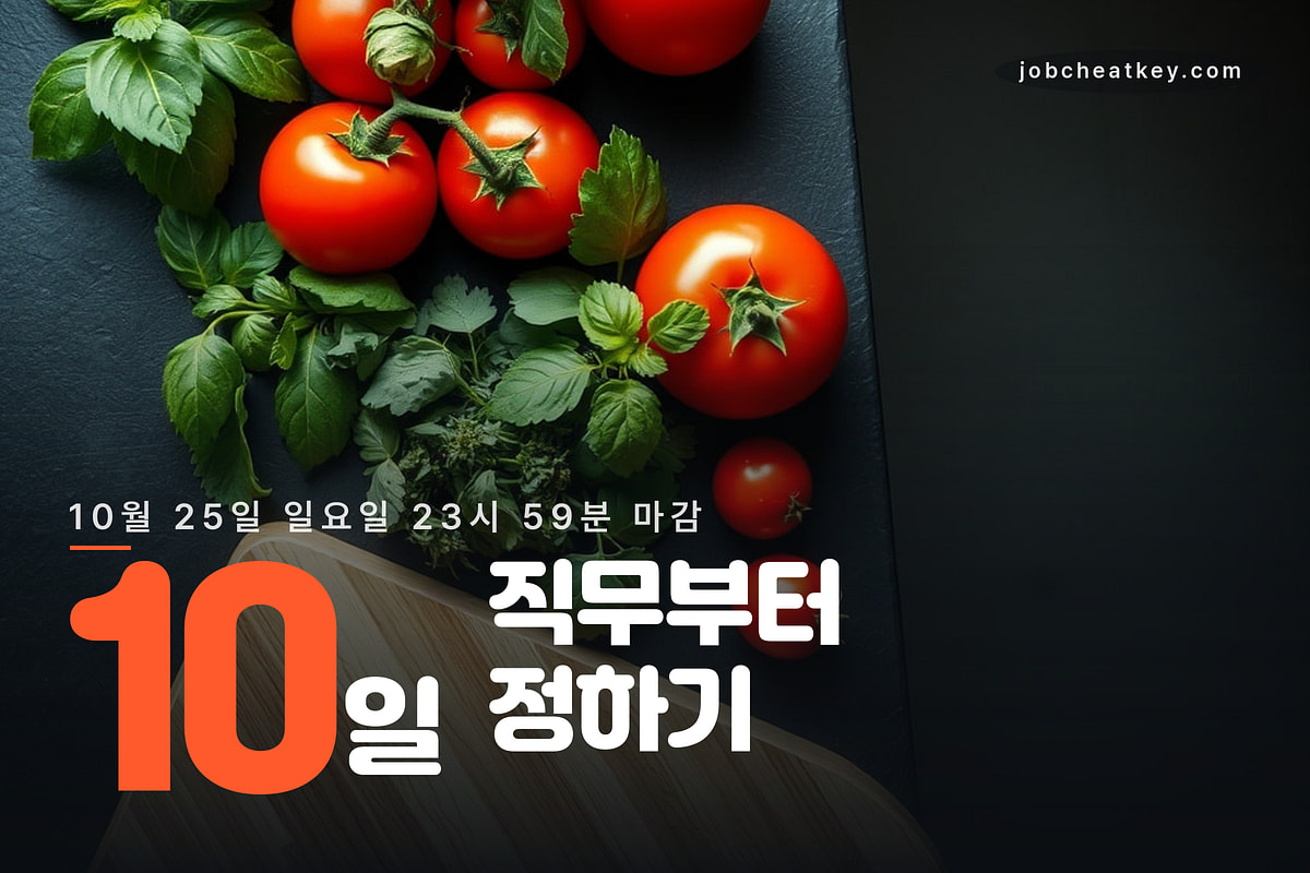 마감까지 10일, 실습이 최종면접보다 먼저