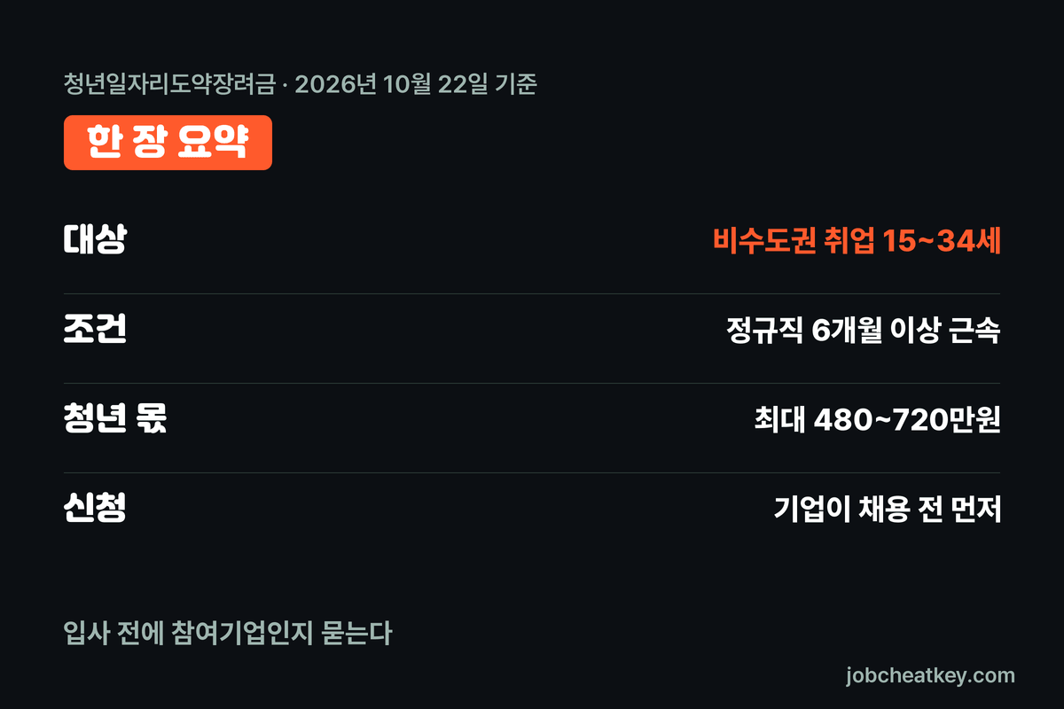 청년일자리도약장려금 한 장 요약